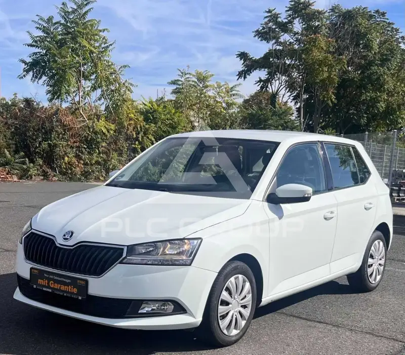 2019 Skoda Fabia