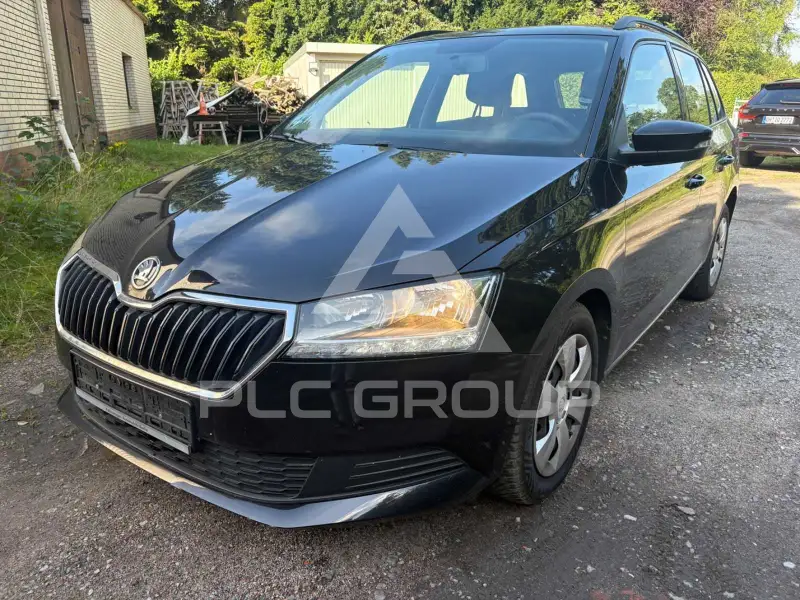 2019 Skoda Fabia
