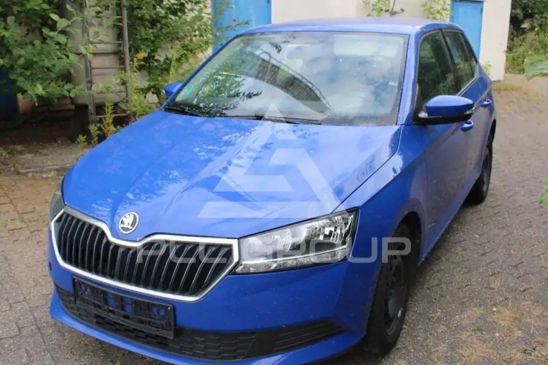 2019 Skoda Fabia