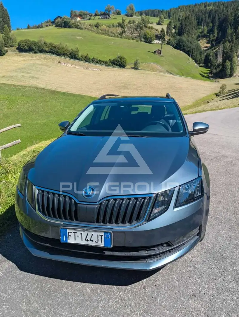 2019 Skoda Octavia