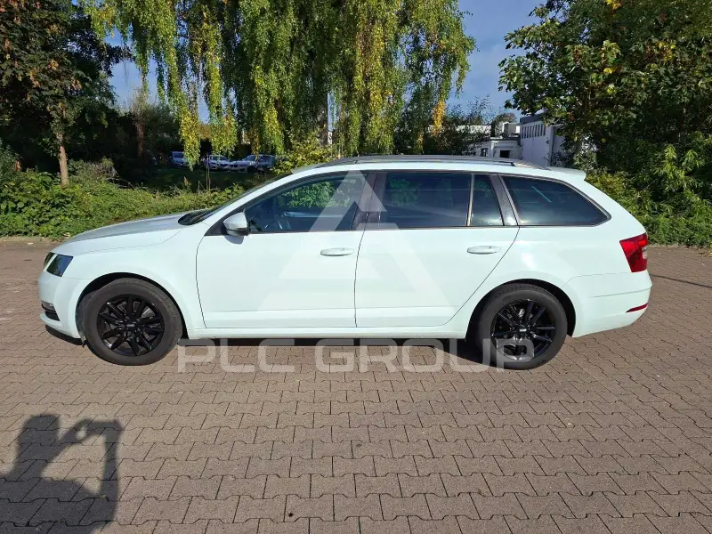 2019 Skoda Octavia