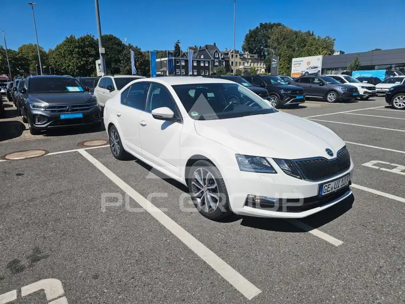 2019 Skoda Octavia