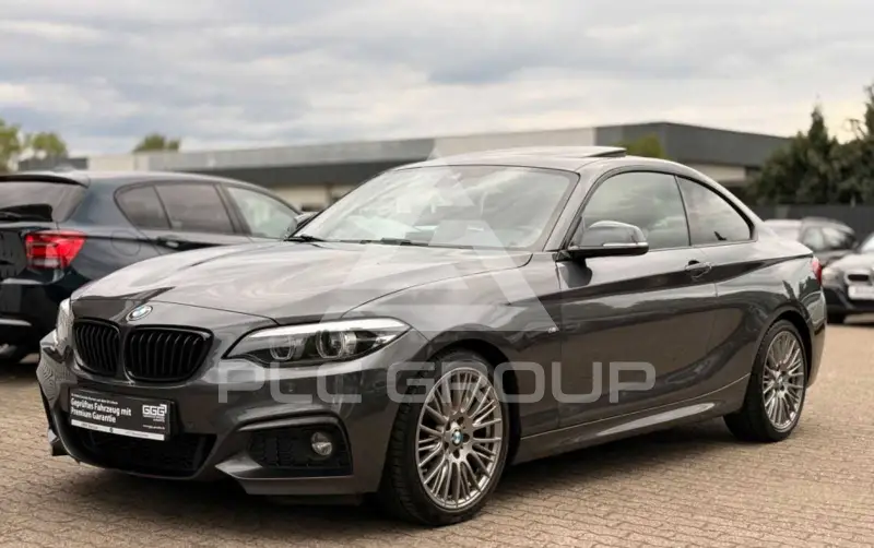 2019 BMW 225
