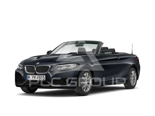 2019 BMW 218