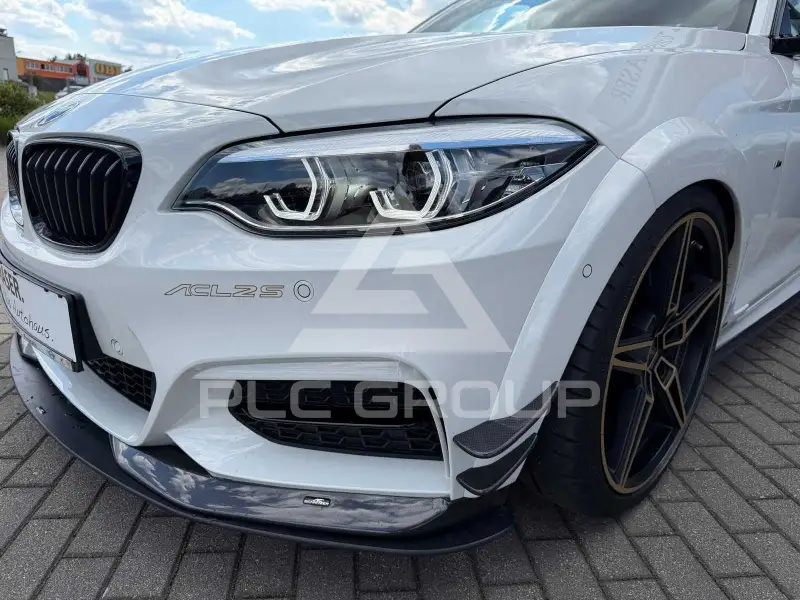 2019 BMW M2