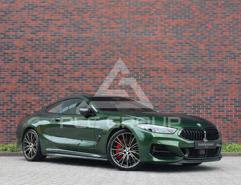2019 BMW M8