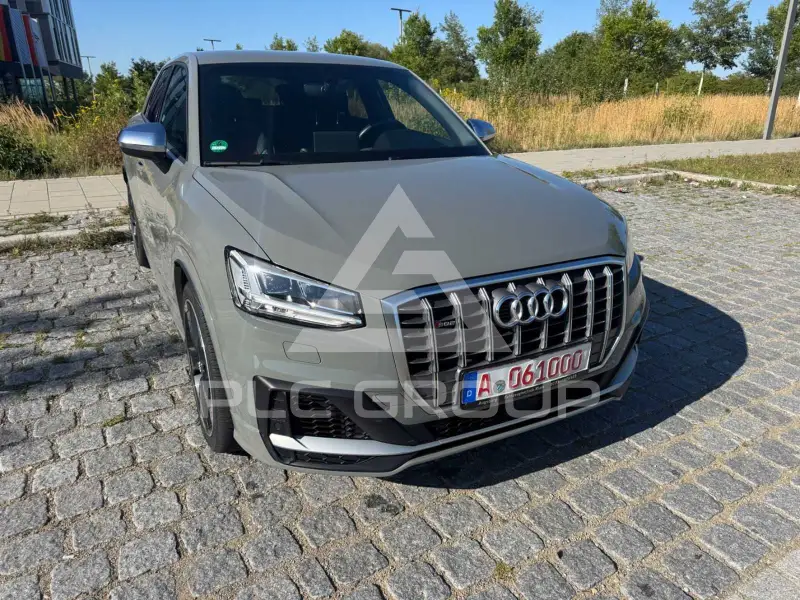 2019 Audi SQ2