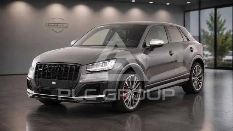 2019 Audi SQ2