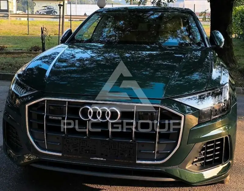 2019 Audi Q8