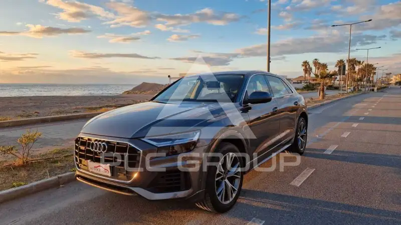 2019 Audi Q8