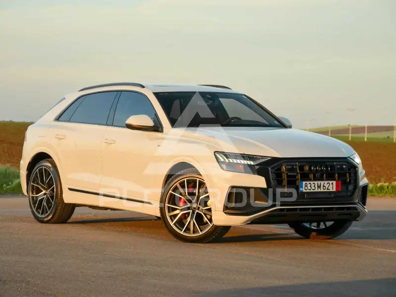 2019 Audi Q8
