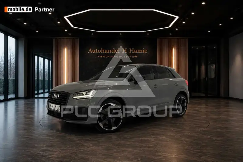 2019 Audi Q2