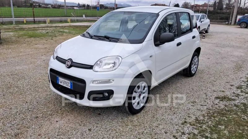 2019 Fiat Panda