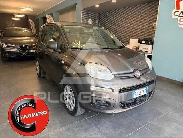 2019 Fiat Panda