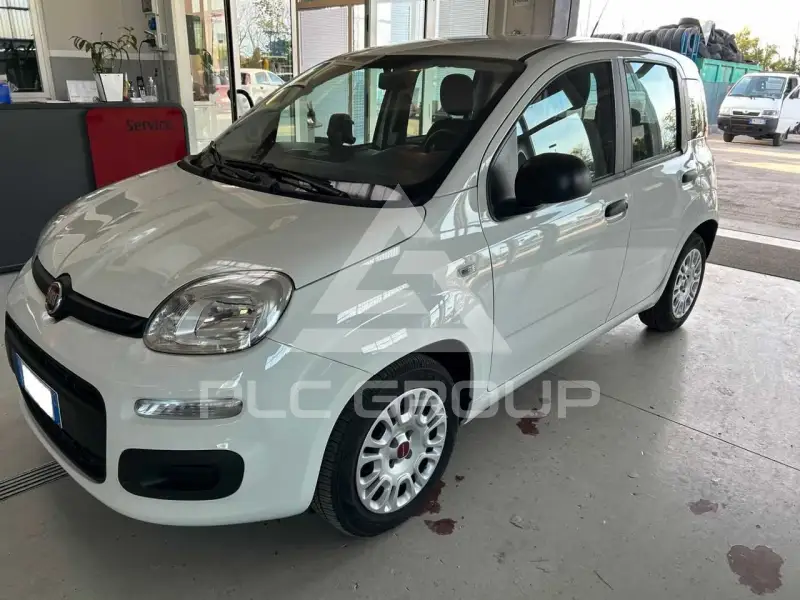 2019 Fiat Panda
