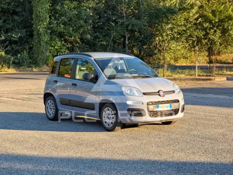 2019 Fiat Panda