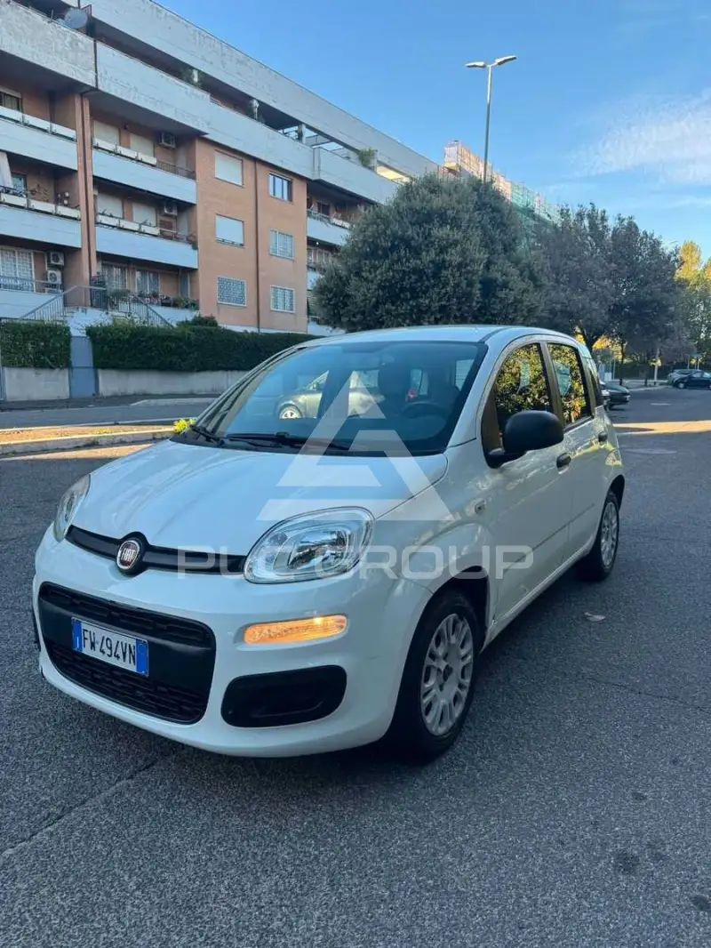 2019 Fiat Panda