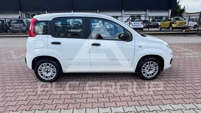 2019 Fiat Panda