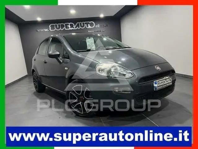 2019 Fiat Punto