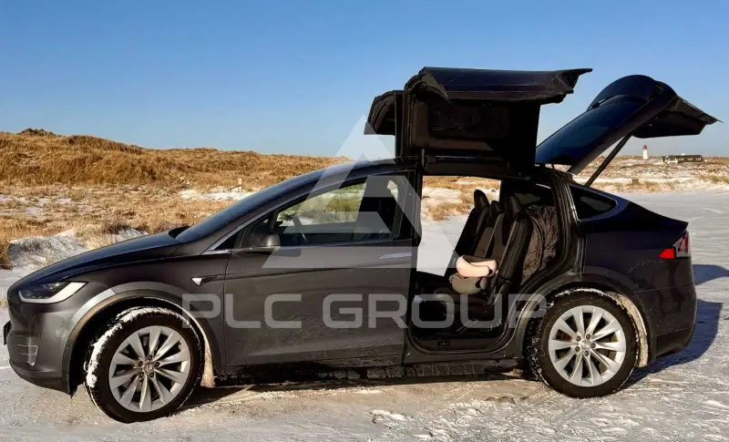 2019 Tesla Model X