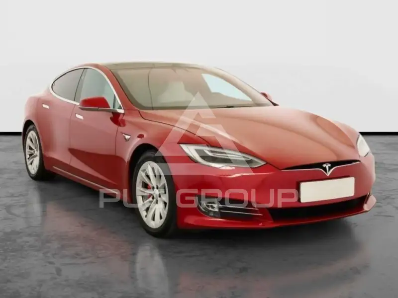 2019 Tesla Model S