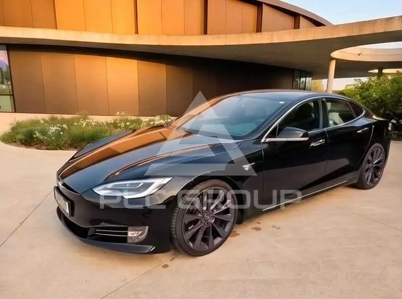 2019 Tesla Model S