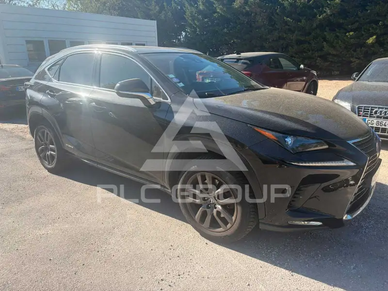 2019 Lexus NX300