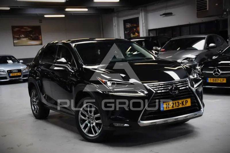 2019 Lexus NX300