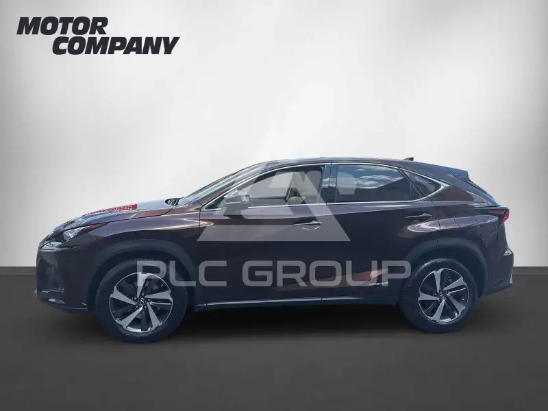 2019 Lexus NX300