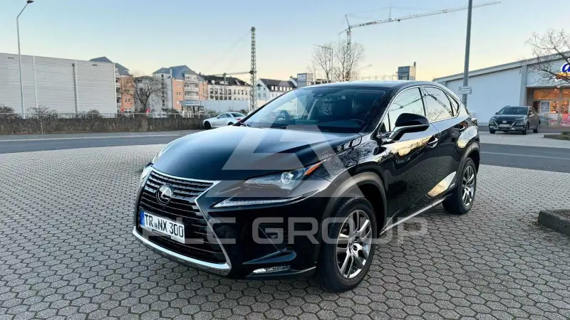2019 Lexus NX300
