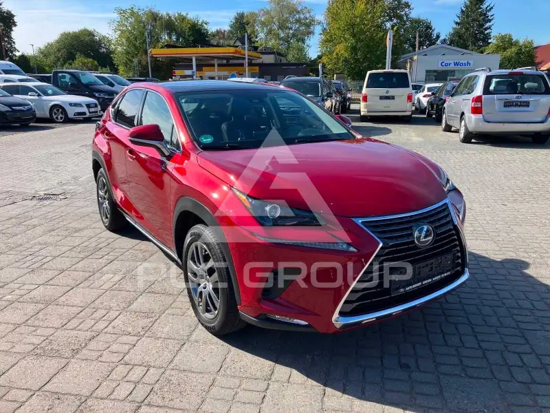 2019 Lexus NX300