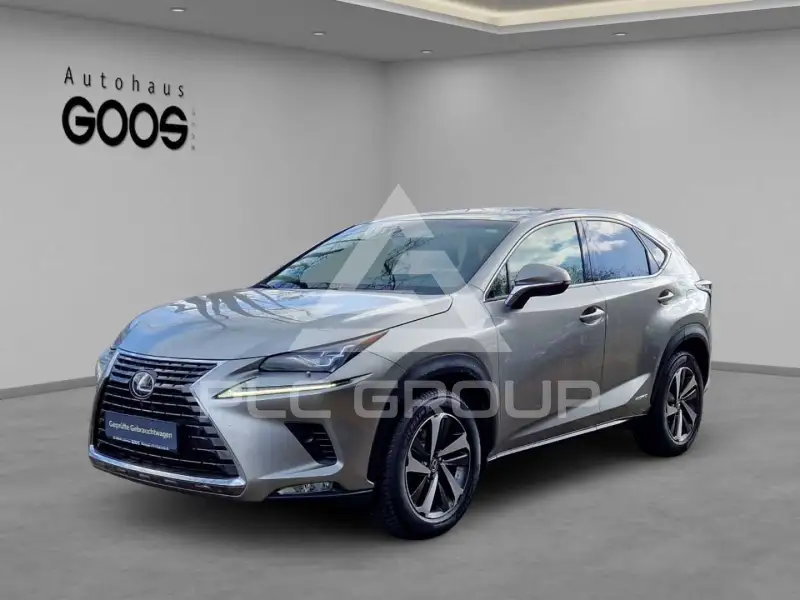 2019 Lexus NX300