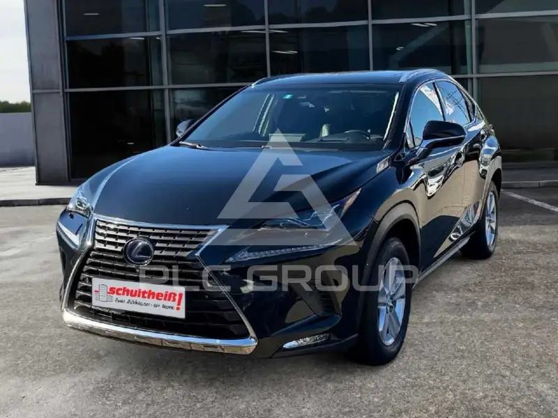 2019 Lexus NX300