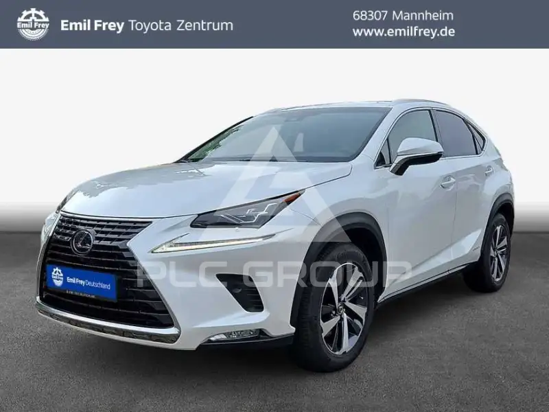 2019 Lexus NX300