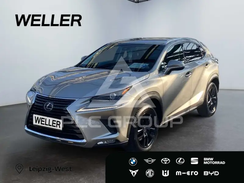 2019 Lexus NX300