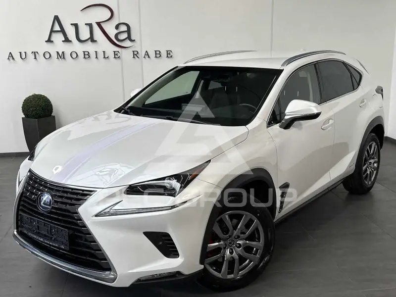 2019 Lexus NX300