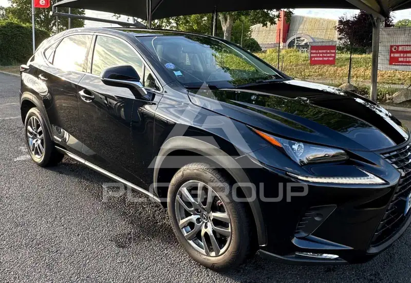 2019 Lexus NX300