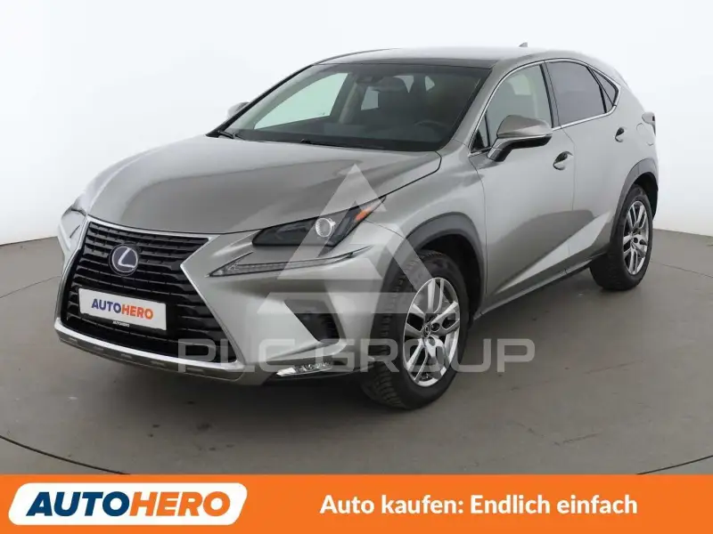 2019 Lexus NX300