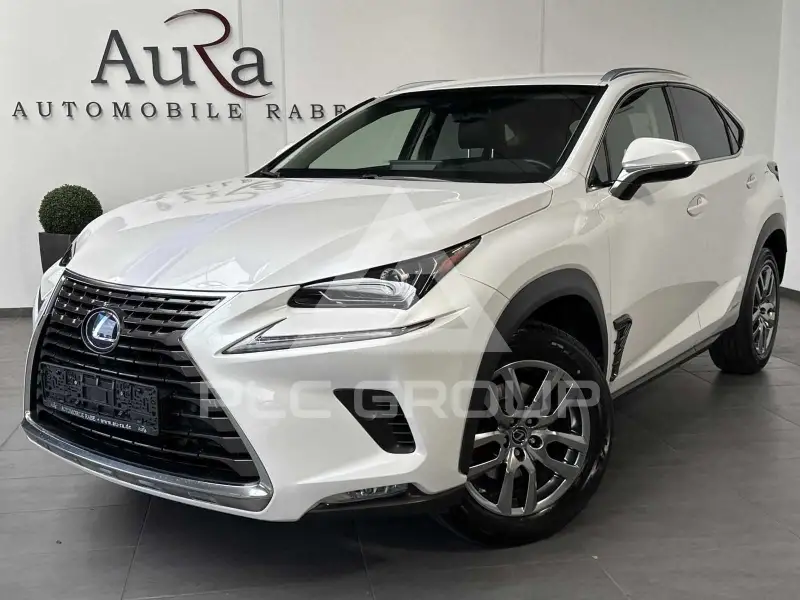 2019 Lexus NX300