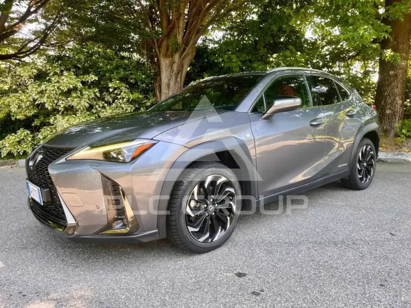 2019 Lexus Other