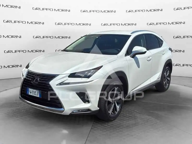 2019 Lexus Other