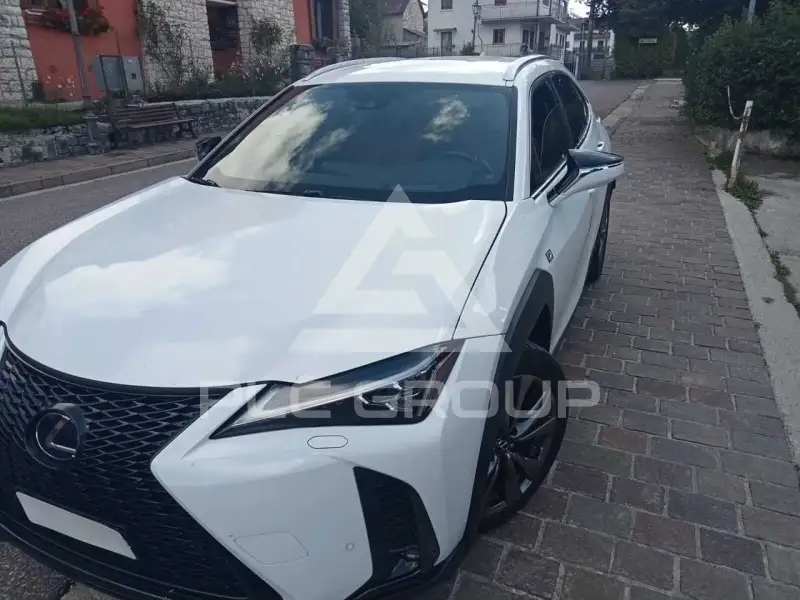2019 Lexus UX