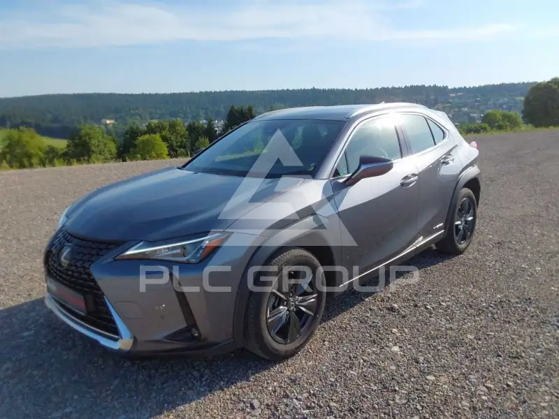 2019 Lexus UX