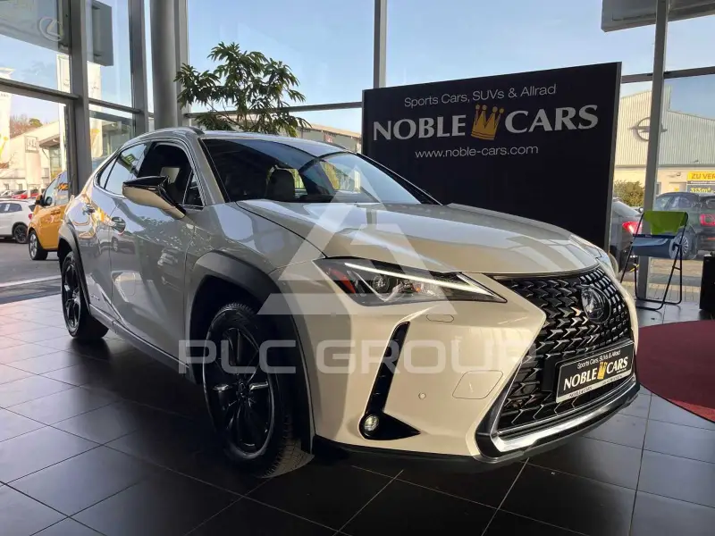 2019 Lexus UX