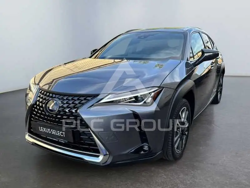2019 Lexus UX