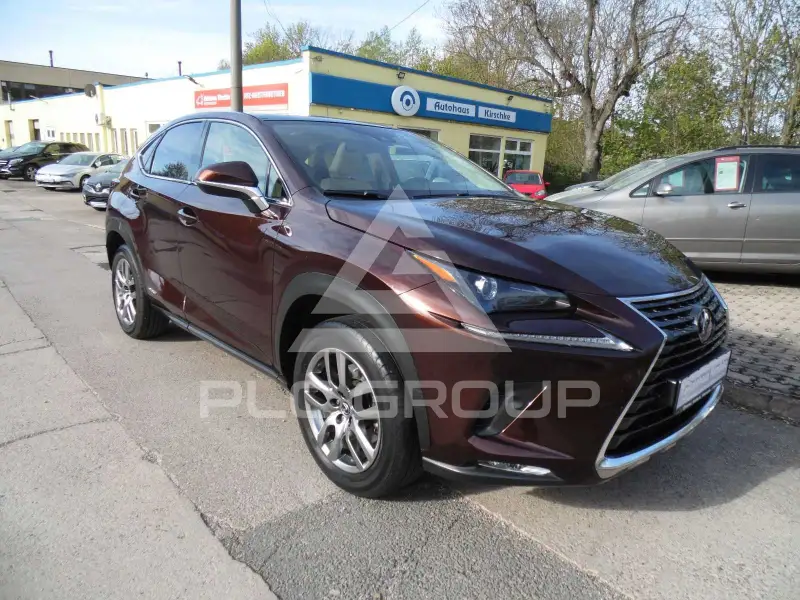 2019 Lexus NX250