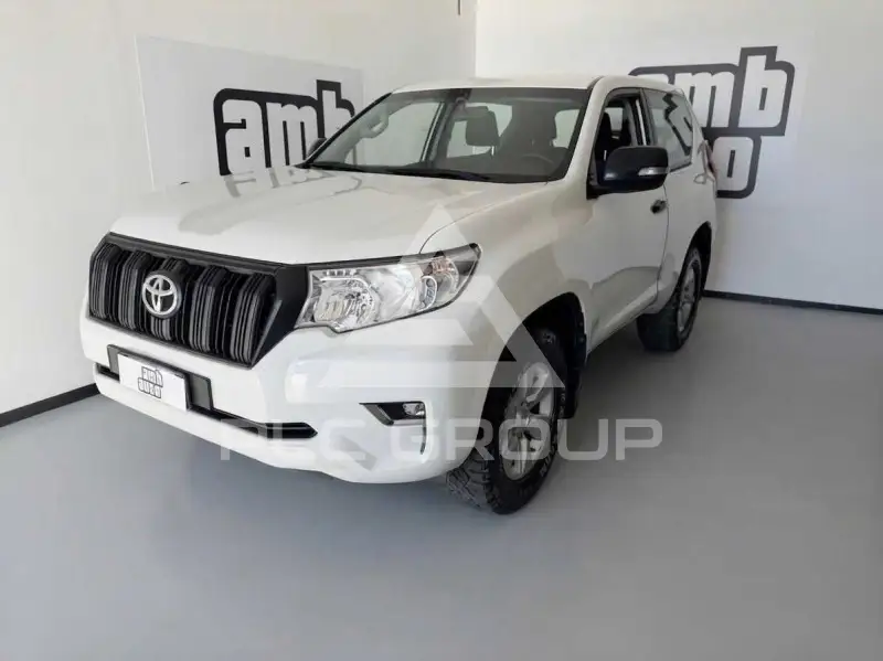 2019 Toyota LAND CRUISER
