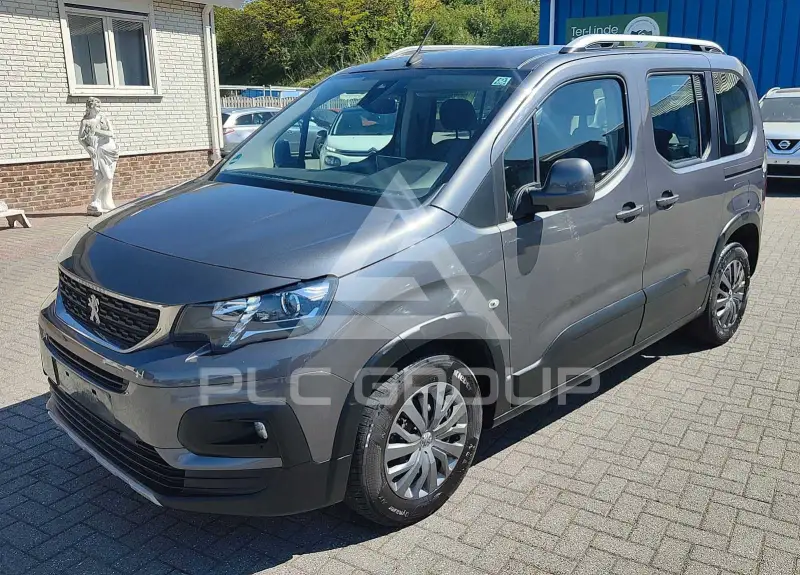 2019 Peugeot Rifter