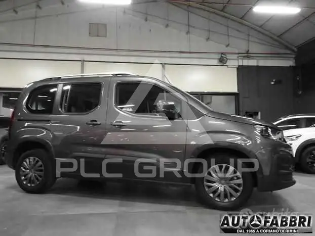 2019 Peugeot Rifter