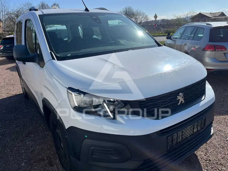 2019 Peugeot Rifter
